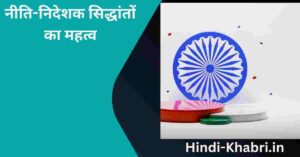 नीति-निदेशक सिद्धांतों का महत्व