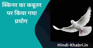 Skinner’s Experiment on Pigeon